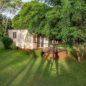 Banyan Tree